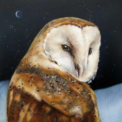 Barn Owl in December Snow by Lesley McLaren