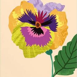 Pansy by Brie Harrison
