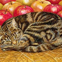Right-Handed Apple-Cat by Ditz