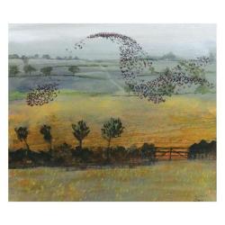 Starlings by Richard Sorrell