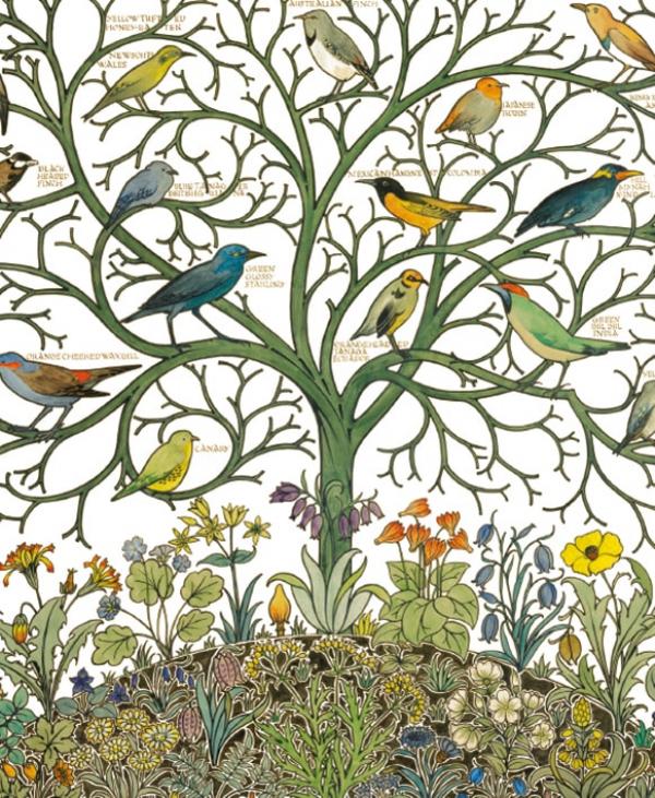 Birds of Many Climes by C F A Voysey