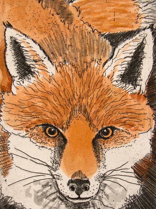 Fox by Linda Richardson