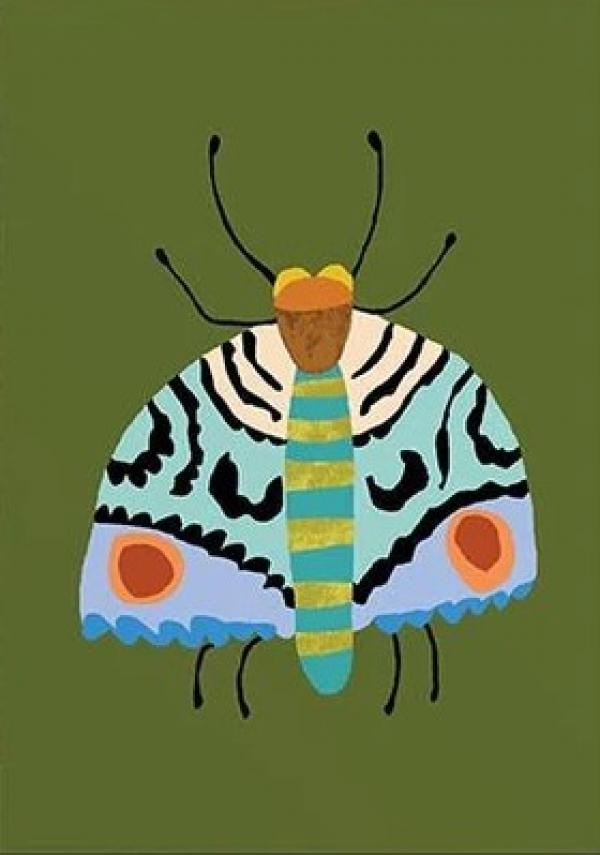 Moth by Brie Harrison
